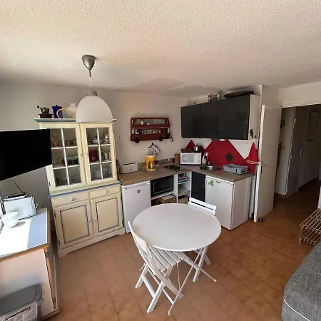 Avec Piscine Et Terrasse Ensoleillee, Acceptant Les Animaux - Fr-1-768-18 *