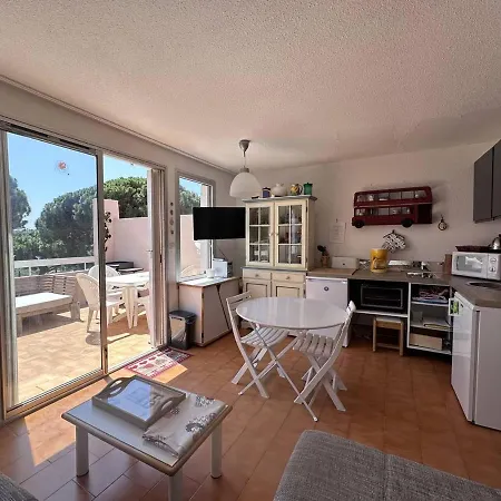 Avec Piscine Et Terrasse Ensoleillee, Acceptant Les Animaux - Fr-1-768-18 * Sainte-Maxime