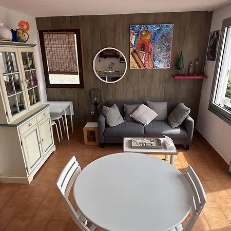 Avec Piscine Et Terrasse Ensoleillee, Acceptant Les Animaux - Fr-1-768-18 Apartment *